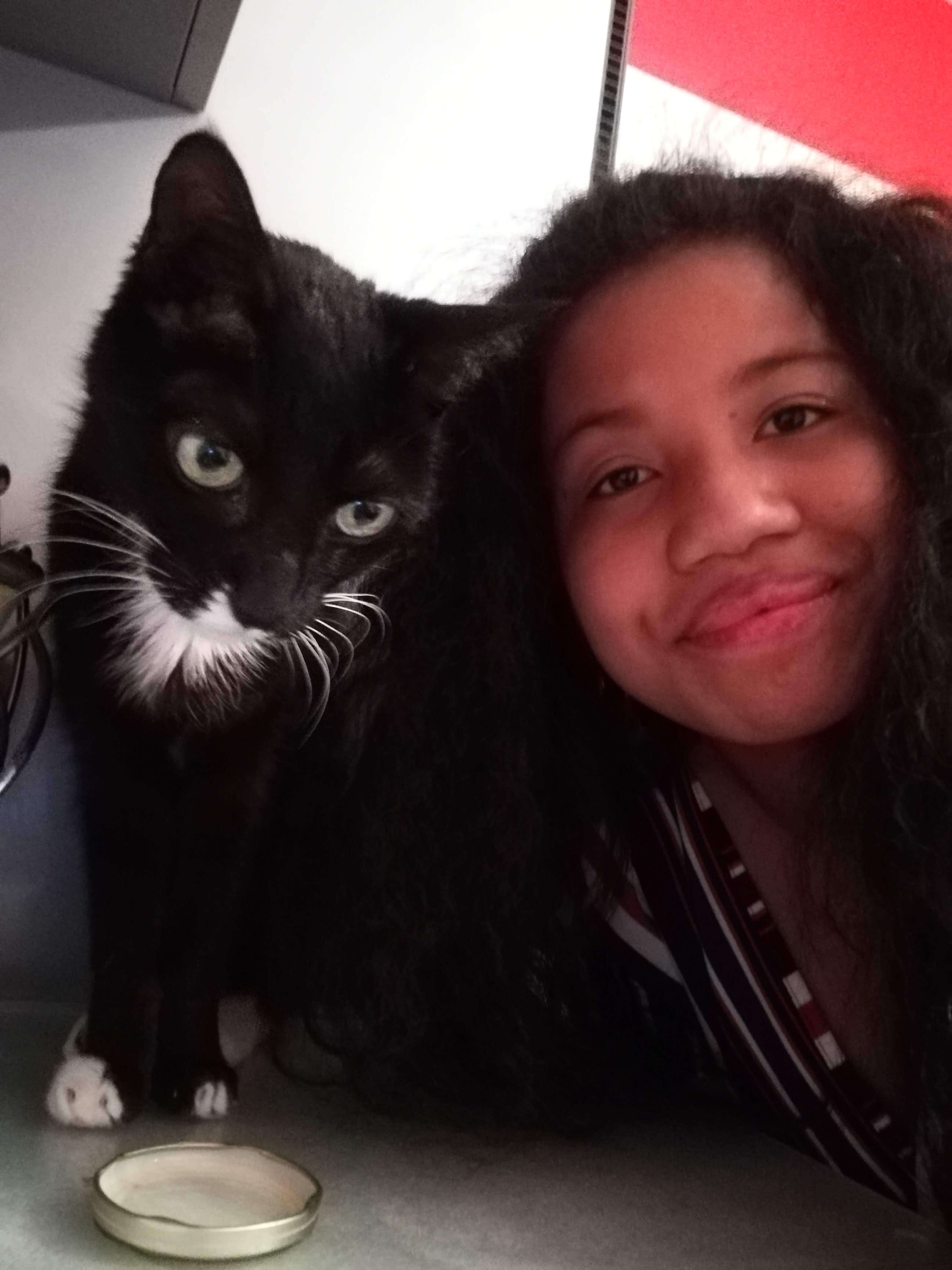 Moment de complicité avec un chat gardé à Rouen
