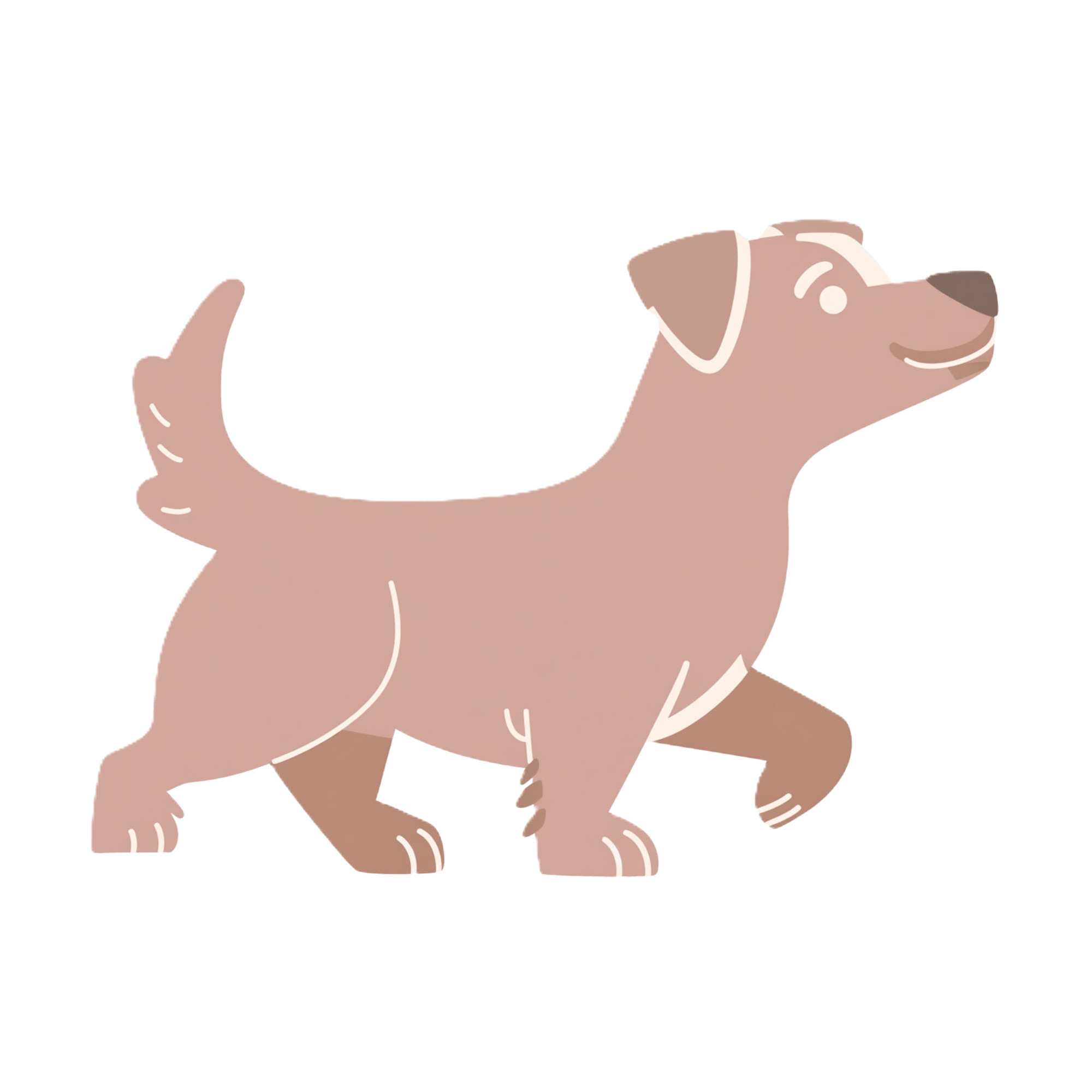 Sortie adaptée au rythme du chien